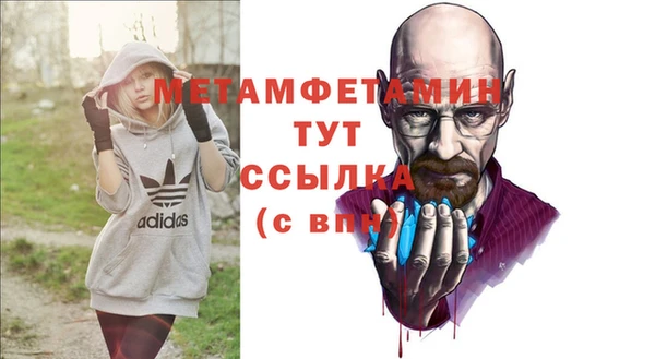 индика Зеленокумск