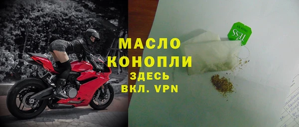 индика Зеленокумск