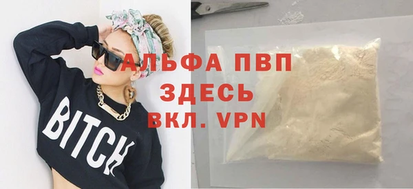 индика Зеленокумск