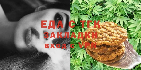 шишки Инта