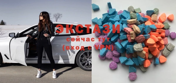 индика Зеленокумск